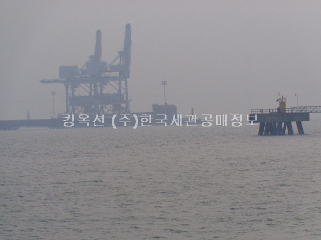 DSC02733.jpg